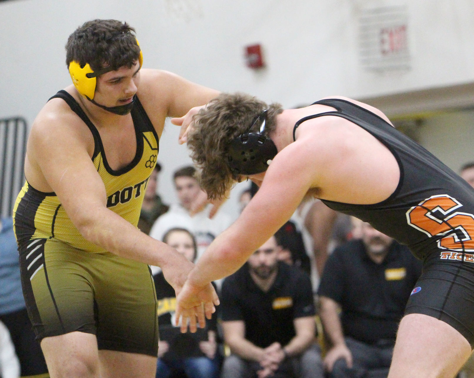 Division 3 Wrestling Regional at Cadott 2-15-20